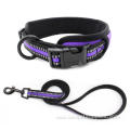 Hot Fast Deliver Reflective Neoprene Padded Dog Collar